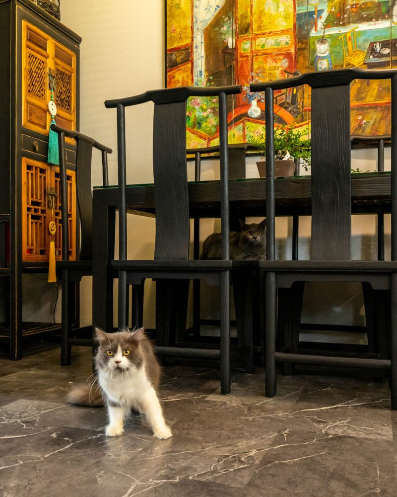 69 - 250 BANGKIT ROAD - DINING AREA (1) 69 - 250 BANGKIT ROAD - DINING AREA (1)